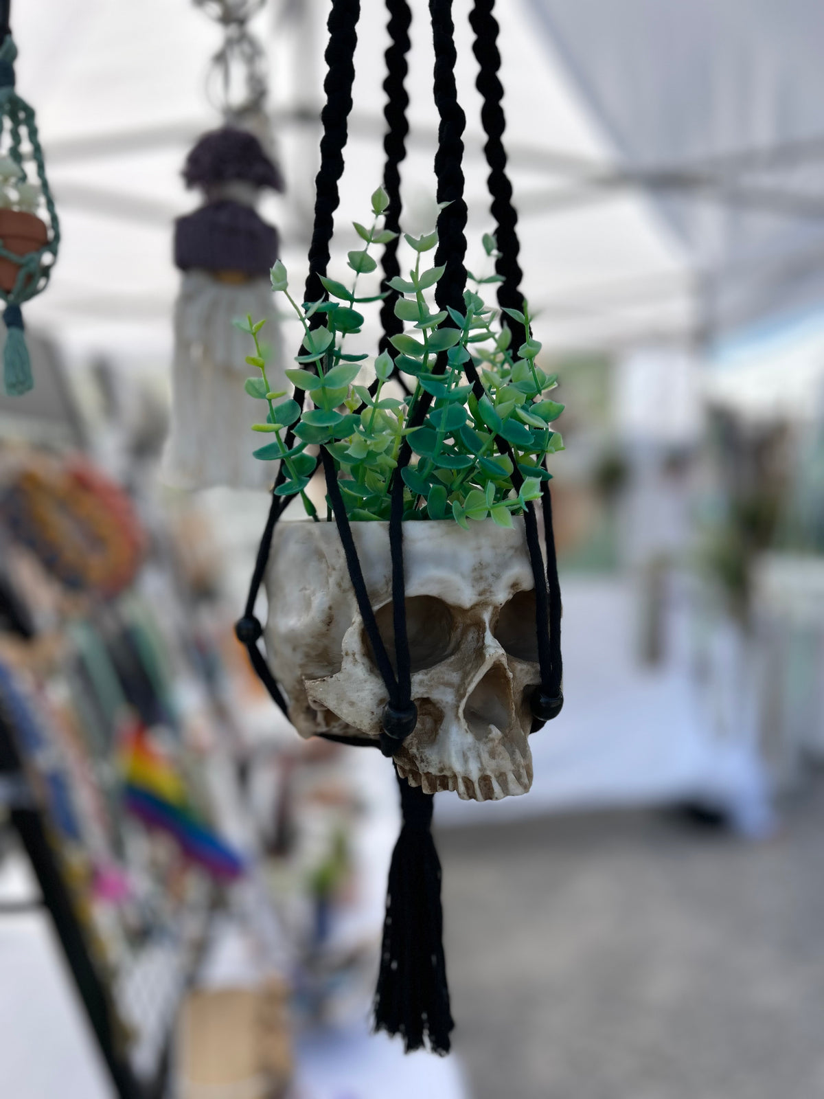 Skull Plant Hanger