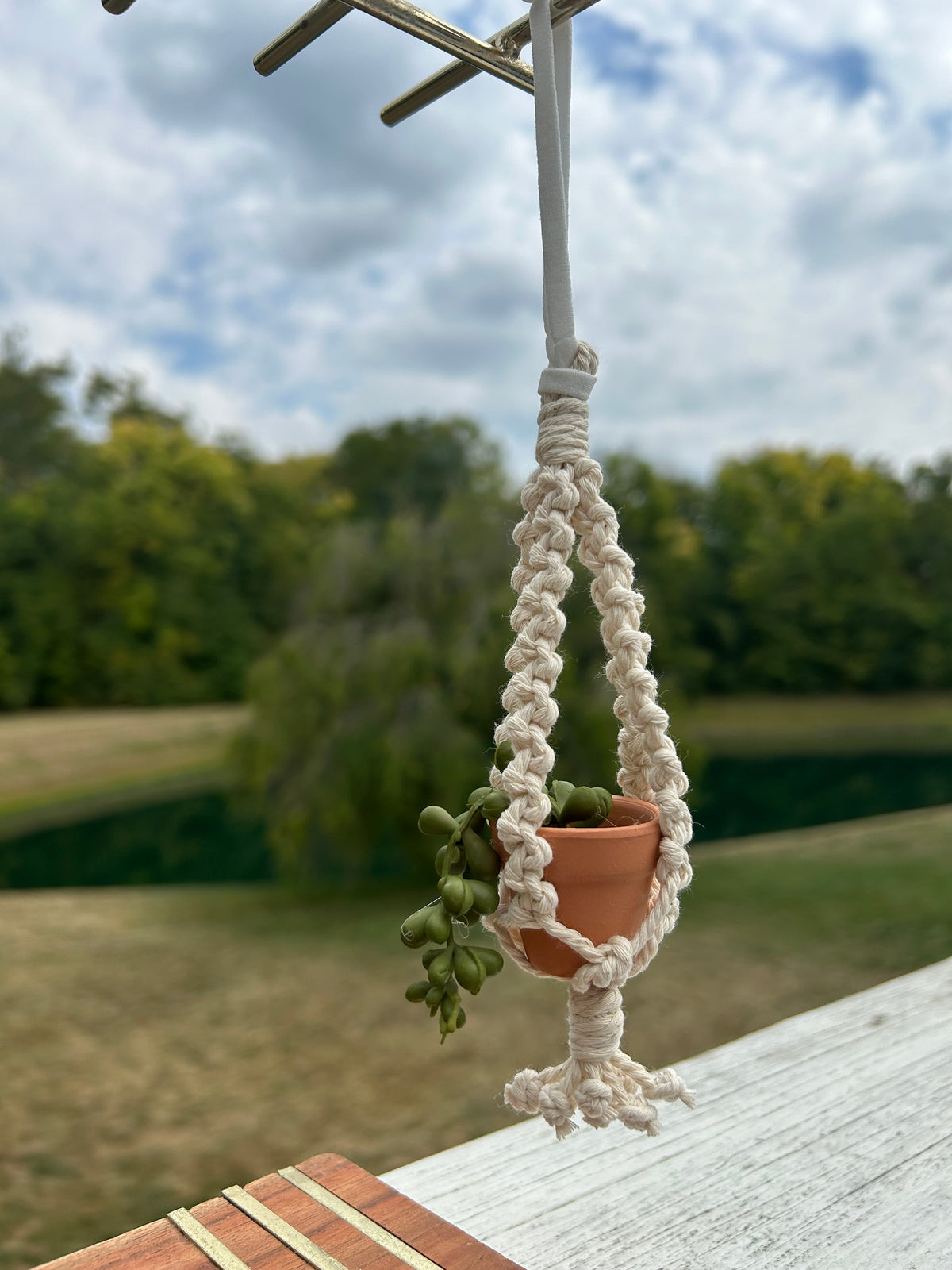 Mini Car Plant Hanger